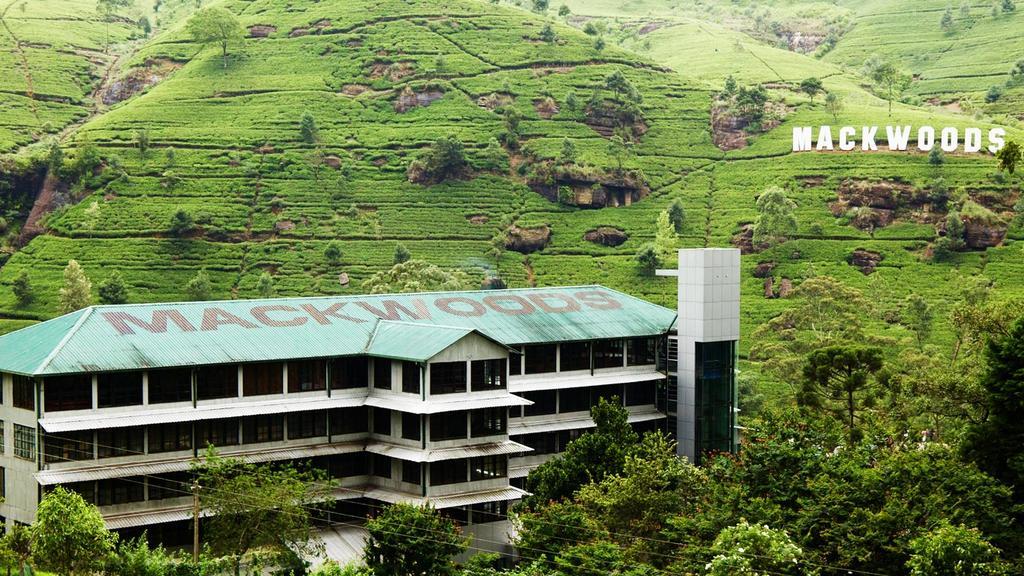 Max Mount View Hotel Nuwara Eliya Eksteriør billede